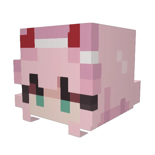 FNOsoup Minecraft avatar head, 3D render