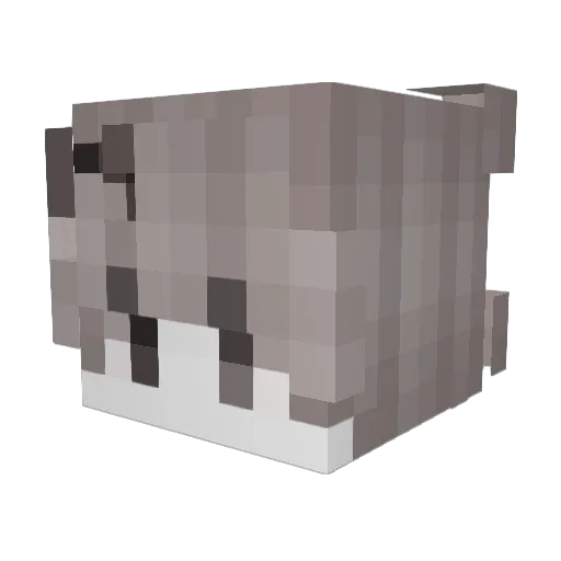 FNSshoto Minecraft avatar head, 3D render