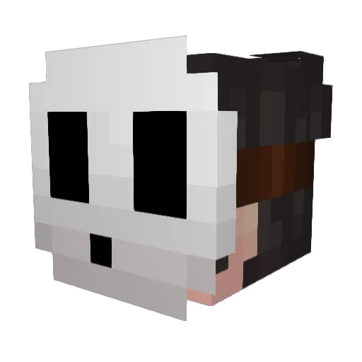 FNTSM4 Minecraft avatar head, 3D render