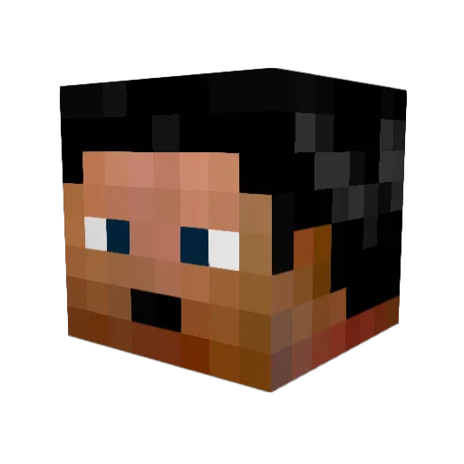 FNVJLanes Minecraft avatar head, 3D render