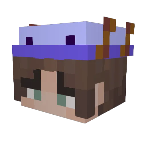 FN_A Minecraft avatar head, 3D render