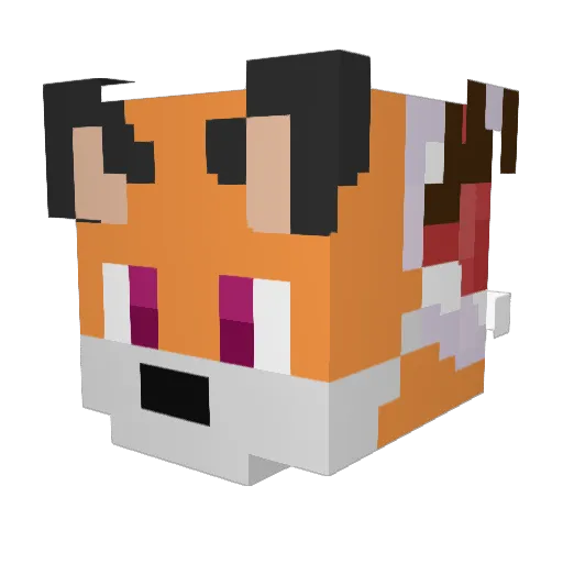 FN_wye Minecraft avatar head, 3D render