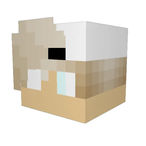FOBZIN Minecraft avatar head, 3D render