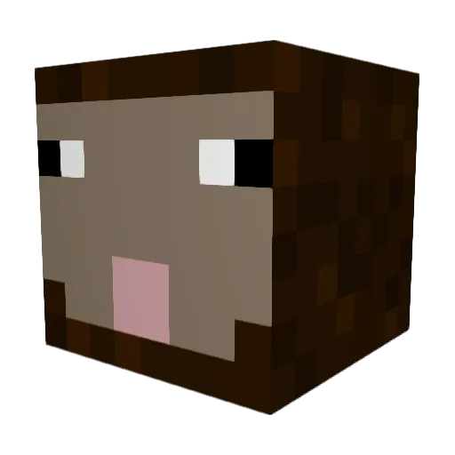 FOFDWE Minecraft avatar head, 3D render