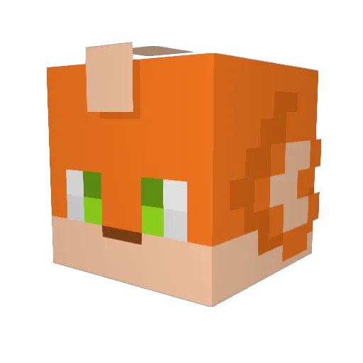 FOKMAq Minecraft avatar head, 3D render