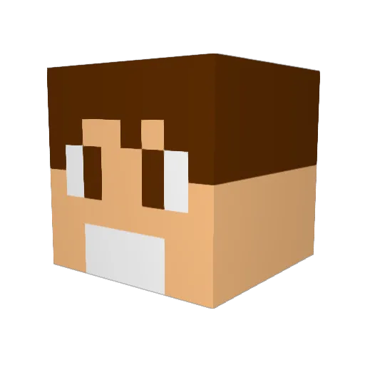 FOLHAB Minecraft avatar head, 3D render
