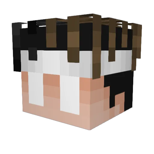FONSKEN Minecraft avatar head, 3D render