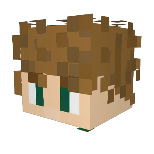 FOOBISON Minecraft avatar head, 3D render