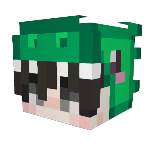 FOPIPIPIP Minecraft avatar head, 3D render