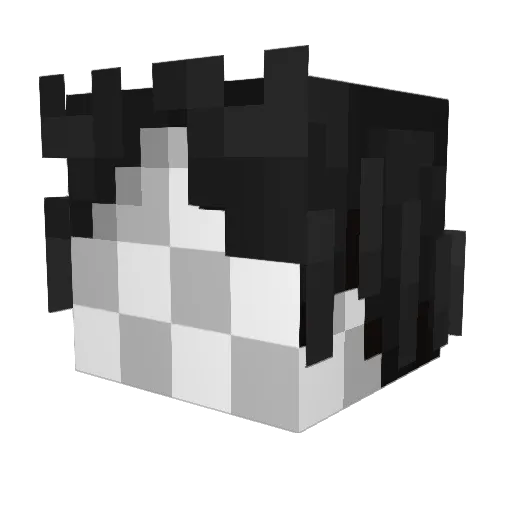 FOR3NF Minecraft avatar head, 3D render