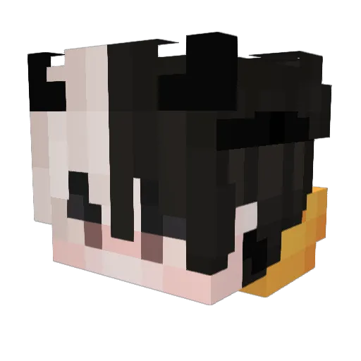 FORD1593 Minecraft avatar head, 3D render