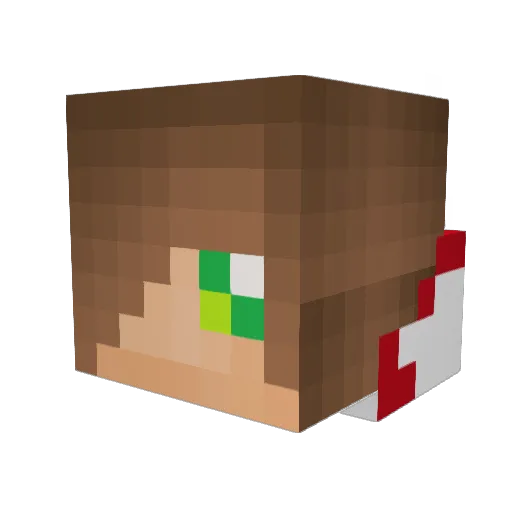 FORTHEKILL99 Minecraft avatar head, 3D render