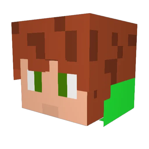 FORTMACH Minecraft avatar head, 3D render