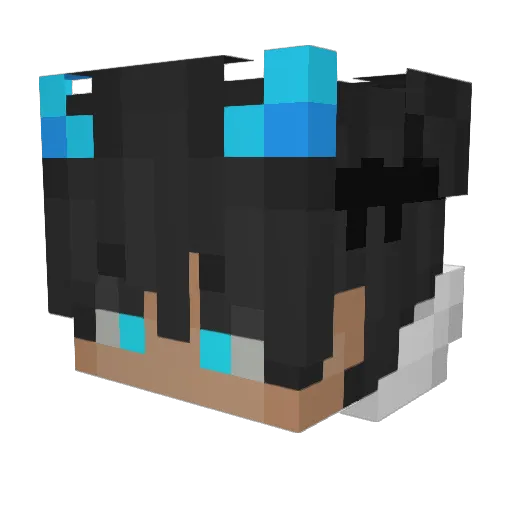 FORTUNE_846 Minecraft avatar head, 3D render