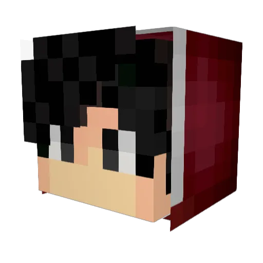 FOSSIL_MC Minecraft avatar head, 3D render