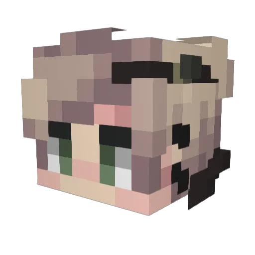 FOSST Minecraft avatar head, 3D render