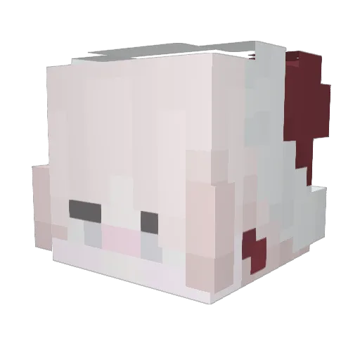 FOTY_bro_YTOF Minecraft avatar head, 3D render