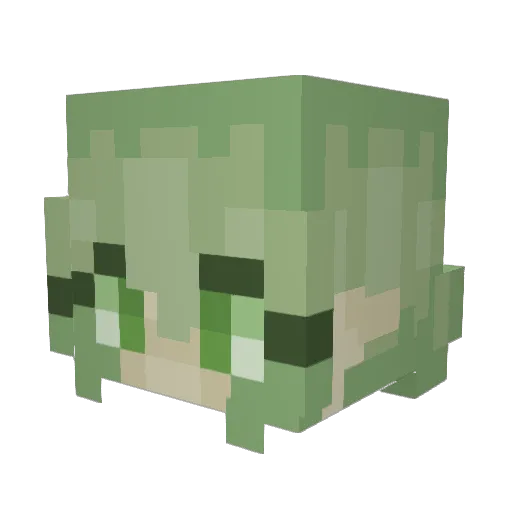 FOXYMAMA77 Minecraft avatar head, 3D render