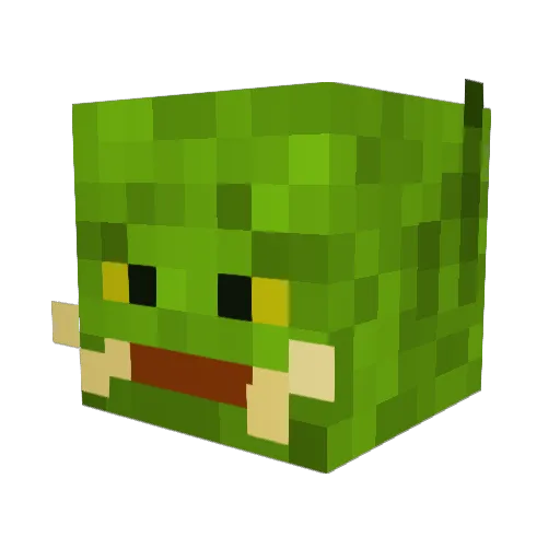 FOnken Minecraft avatar head, 3D render