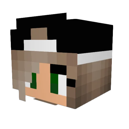 FP0GT Minecraft avatar head, 3D render