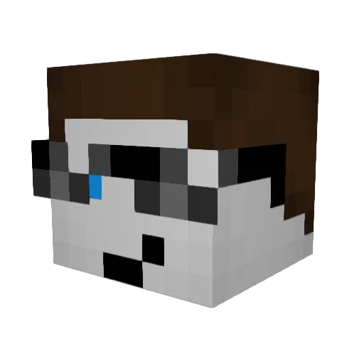 FPI Minecraft avatar head, 3D render