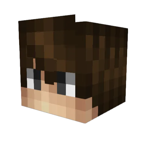 FQVE Minecraft avatar head, 3D render