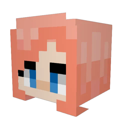 FR0GS3UL Minecraft avatar head, 3D render