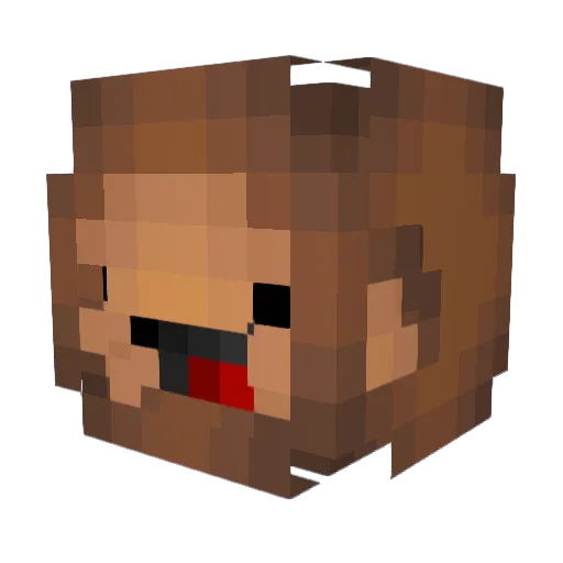 FR0NCC Minecraft avatar head, 3D render