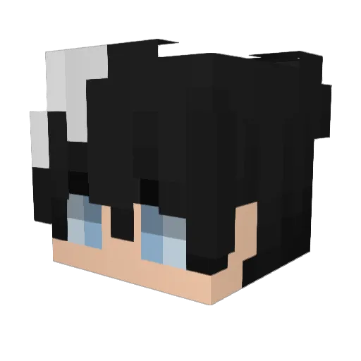 FR0STBITE1_ Minecraft avatar head, 3D render