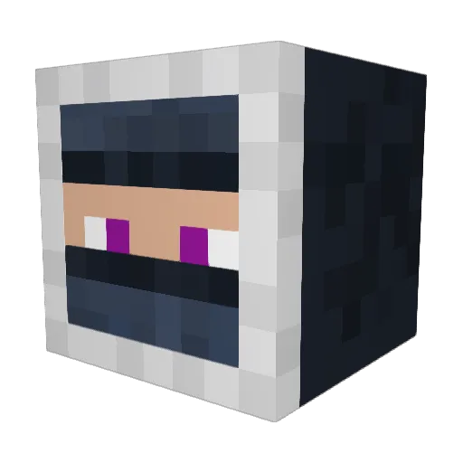 FR12 Minecraft avatar head, 3D render