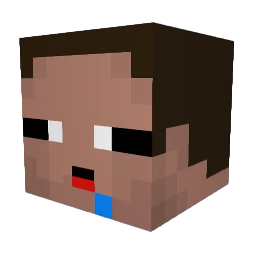 FR1J0L Minecraft avatar head, 3D render