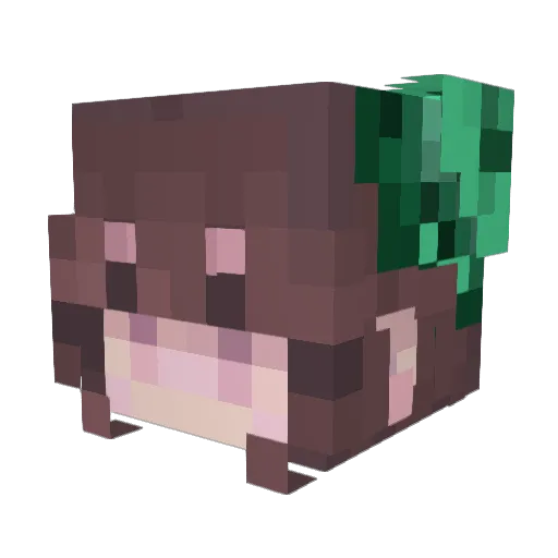 FR3AK0N4L3ASH Minecraft avatar head, 3D render