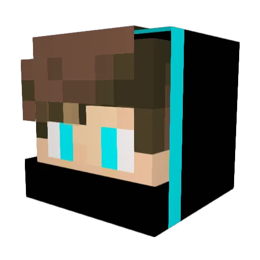 FR3IRE Minecraft avatar head, 3D render