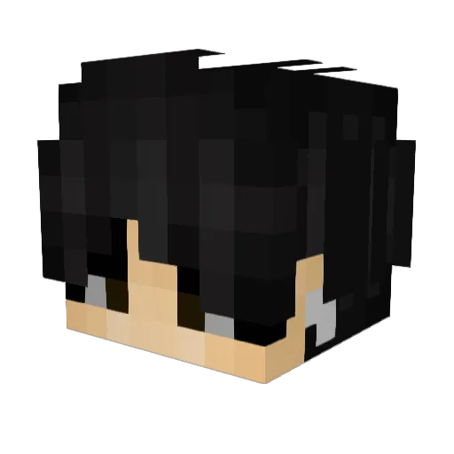 FR4NC0M Minecraft avatar head, 3D render