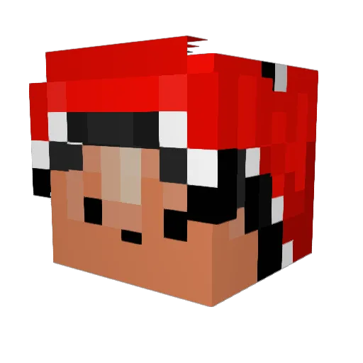 FR4NKS Minecraft avatar head, 3D render