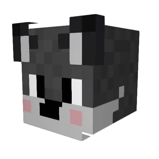 FR8Y_YT Minecraft avatar head, 3D render