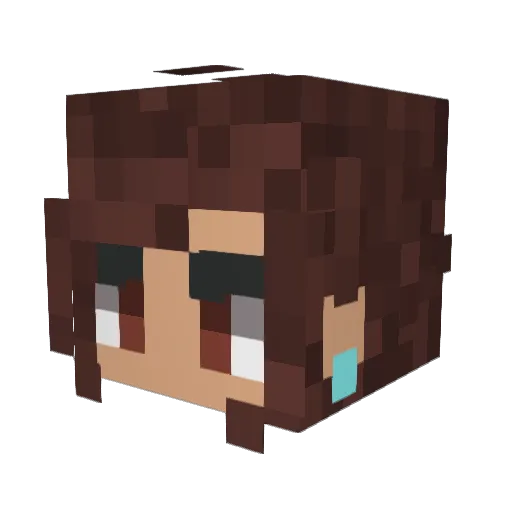 FRAAAAAAAAAAnk3 Minecraft avatar head, 3D render