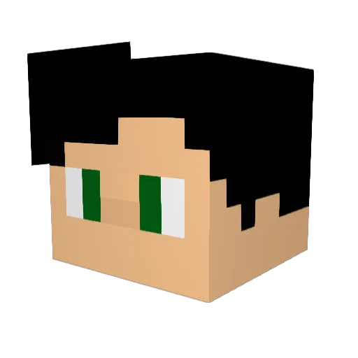 FRANCO27 Minecraft avatar head, 3D render