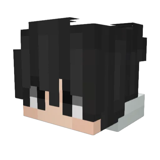 FRAXTER0777 Minecraft avatar head, 3D render