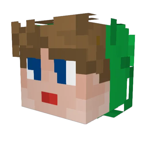 FRDamian02 Minecraft avatar head, 3D render