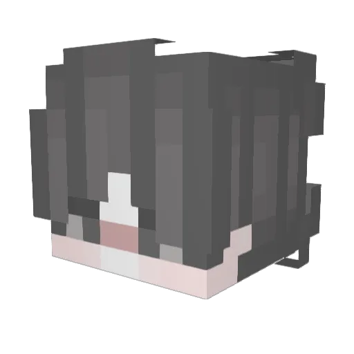 FRE4PER Minecraft avatar head, 3D render