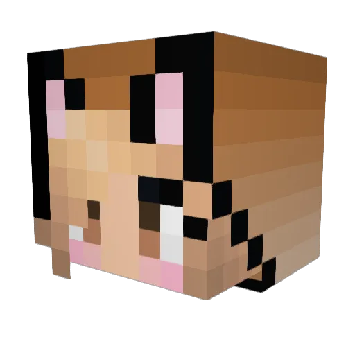 FREEGIGGLES Minecraft avatar head, 3D render