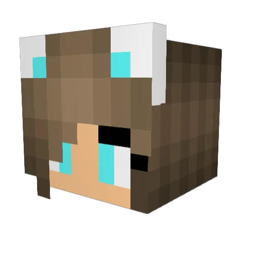 FREESPIRIT23 Minecraft avatar head, 3D render