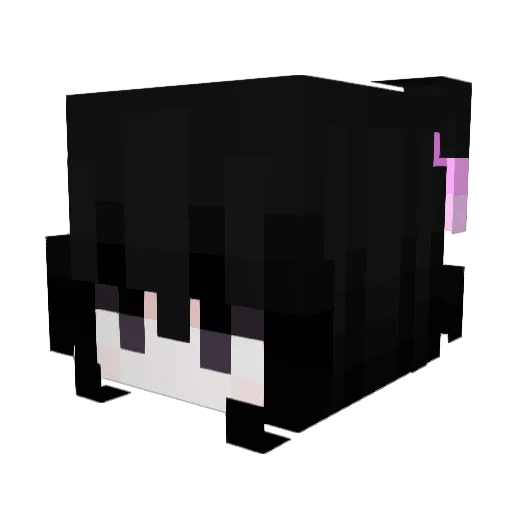 FREEWOMTOM Minecraft avatar head, 3D render