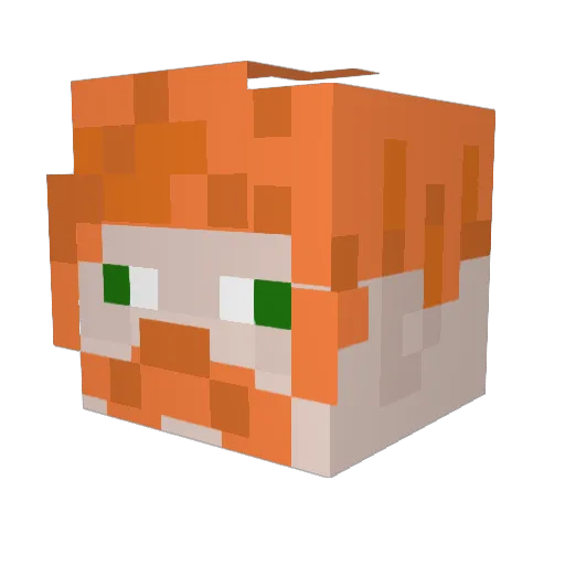 FREIDEN06 Minecraft avatar head, 3D render