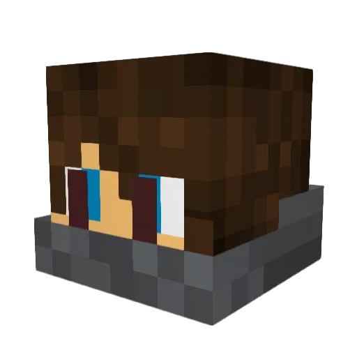 FRENCH__CHICKEN_ Minecraft avatar head, 3D render
