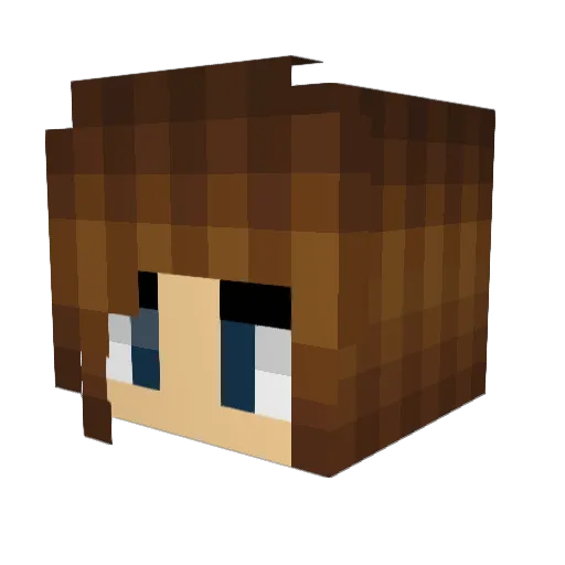 FRESHandEXCITING Minecraft avatar head, 3D render