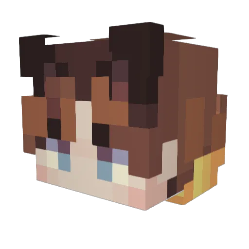 FRIE5 Minecraft avatar head, 3D render