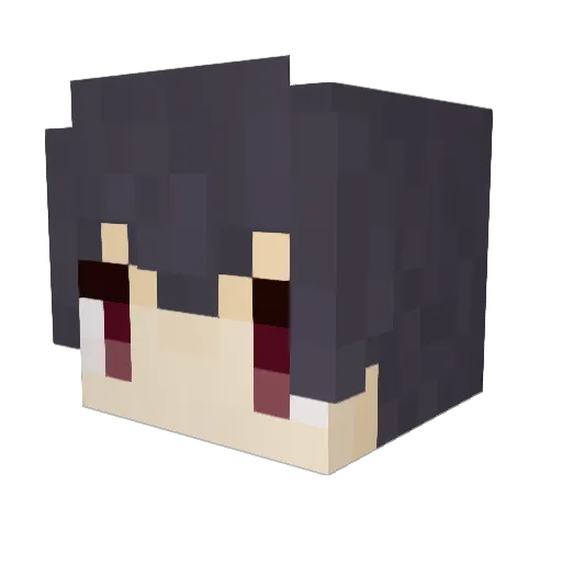 FRISK005 Minecraft avatar head, 3D render