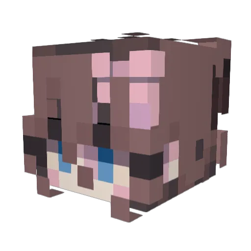 FROGGOFFICIAL Minecraft avatar head, 3D render